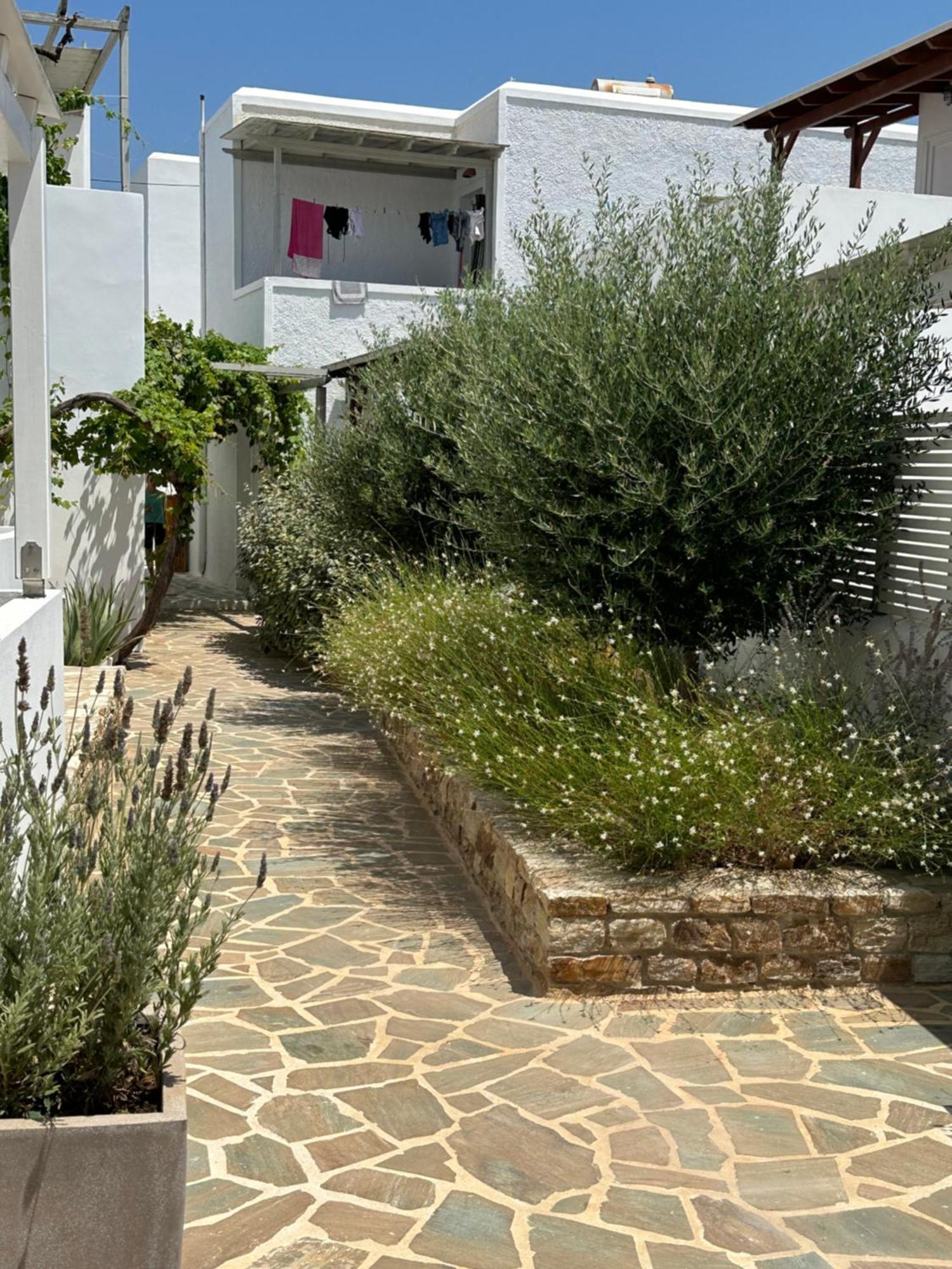 Levanda Guest Houses Antiparos Exterior photo